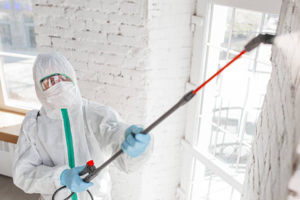 Best Commercial Mold Inspection  in Glens Falls, NY