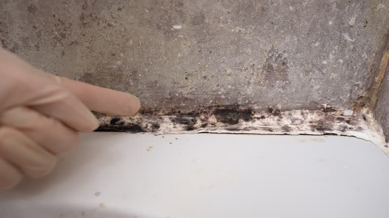 Asbestos and Lead Testing During Mold Inspection in Glens Falls, NY